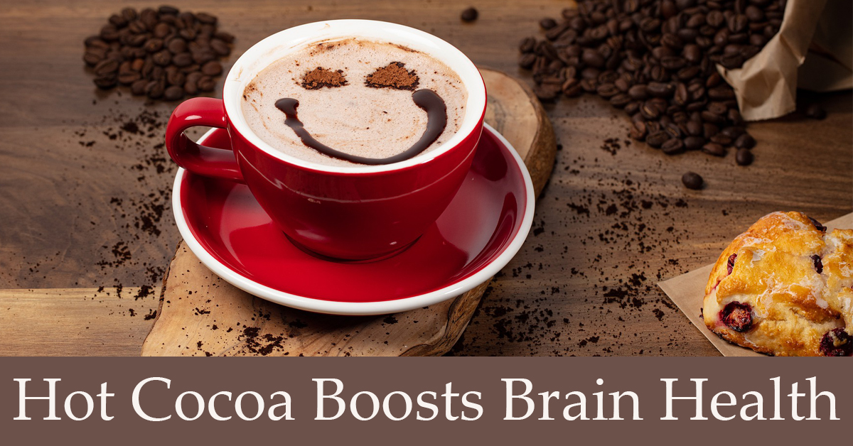 Hot Cocoa Boosts Brain Health